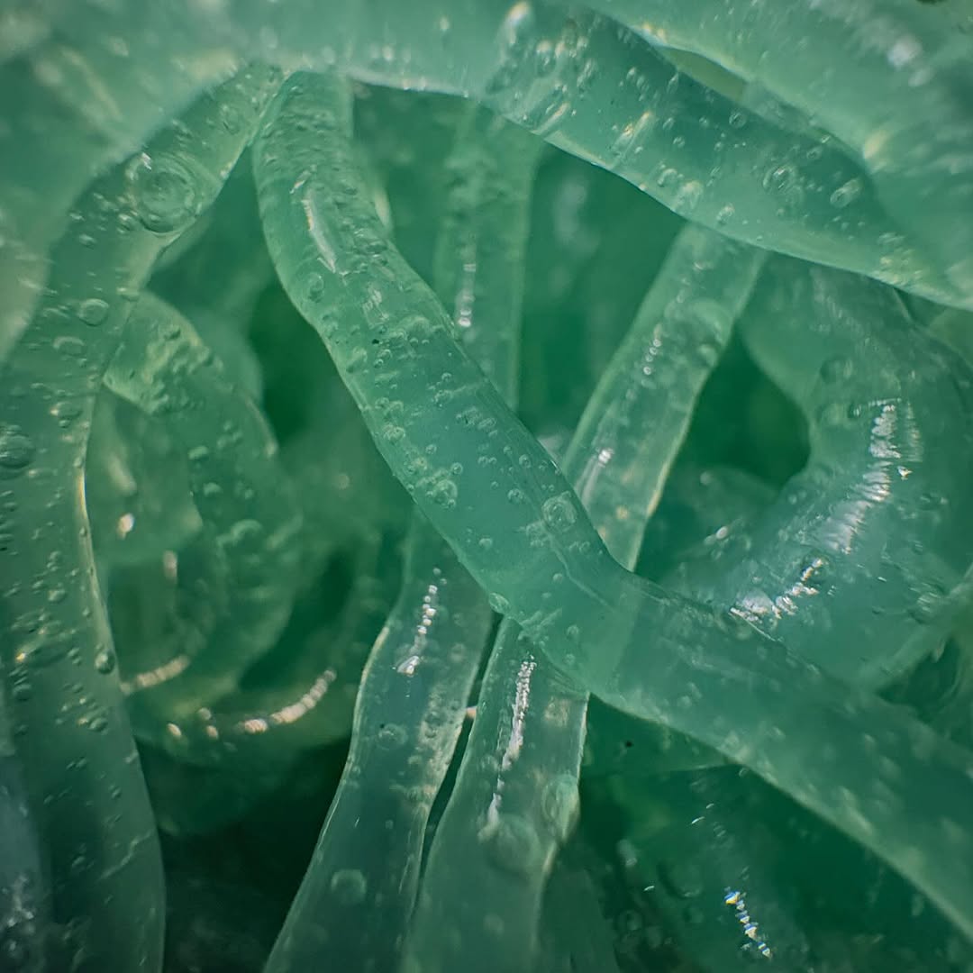 Bioyarn — 6