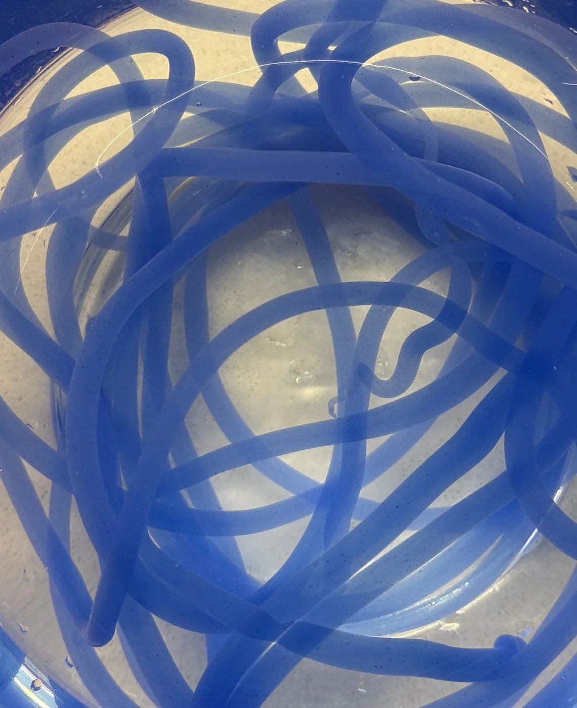 Freshly extruded wet bioyarn